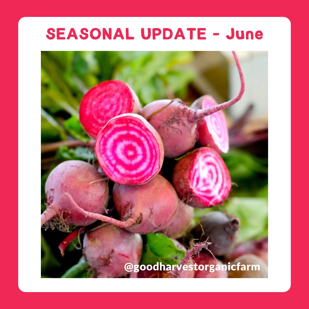 June Seasonal Update