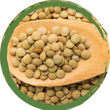 Green Lentils