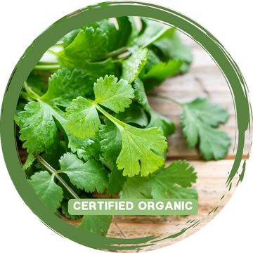 Coriander - Certified Organic_