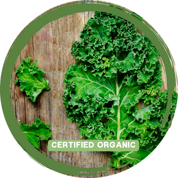 Kale - Certified Organic_