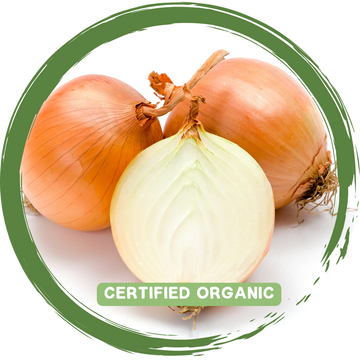 Onion Brown x 2-3 - Certified Organic_