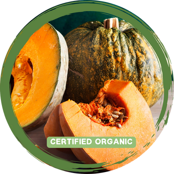 Pumpkin Piece_Certified Organic