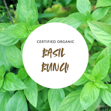 Basil Bunch - Certified Organic